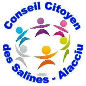 Le Conseil Citoyen des Salines en marche Le Conseil Citoyen des Salines en marche