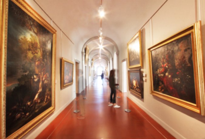 On fait quoi ce weekend à Ajaccio ? On fait quoi ce weekend à Ajaccio ?