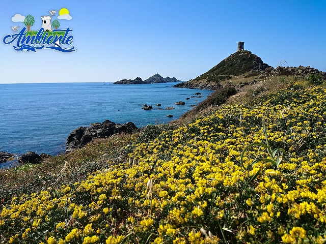 On fait quoi ce weekend à Ajaccio ? On fait quoi ce weekend à Ajaccio ?
