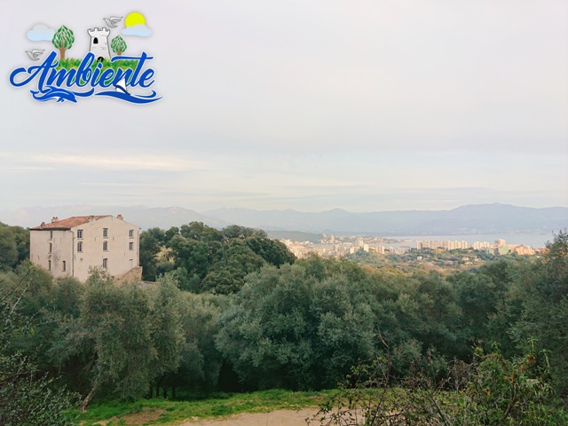 On fait quoi ce weekend à Ajaccio ? On fait quoi ce weekend à Ajaccio ?