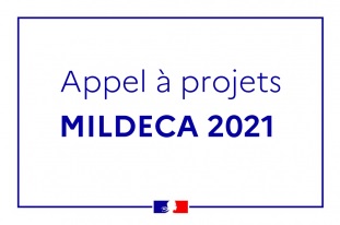 Mission Interministérielle de Lutte contre les Drogues et les Conduites Addictives (MILDECA). Appel à projets 2021 Mission Interministérielle de Lutte contre les Drogues et les Conduites Addictives (MILDECA). Appel à projets 2021