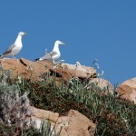 Le patrimoine Naturel, U patrimoniu Naturali Le patrimoine Naturel, U patrimoniu Naturali