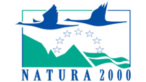 Natura 2000 : grande opération de nettoyage Capo di Feno