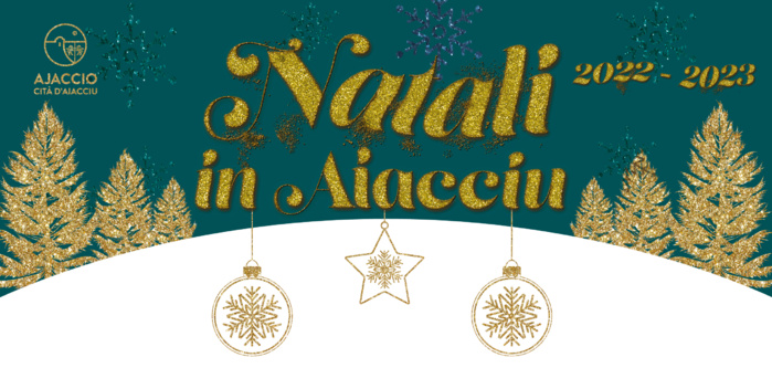 Questionnaire satisfaction "NATALI IN AIACCIU 2022"