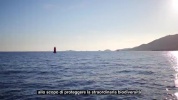 Teaser Pelagos axe╠ü sur l'Environnement - ST IT.mp4