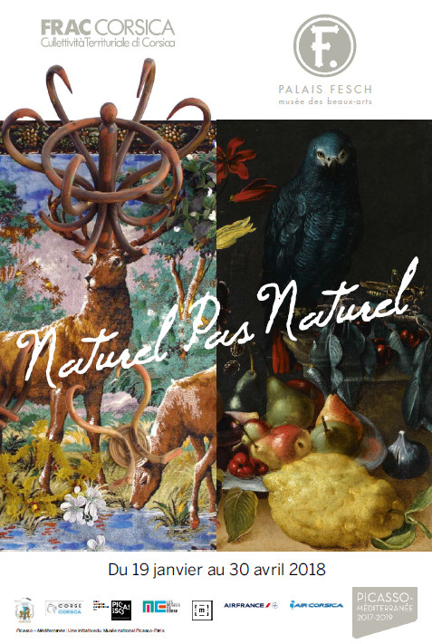 Exposition temporaire "Naturel pas Naturel" En partenariat avec le FRAC de Corse du 19 janvier au 30 avril au Palais Fesch Exposition temporaire "Naturel pas Naturel" En partenariat avec le FRAC de Corse du 19 janvier au 30 avril au Palais Fesch