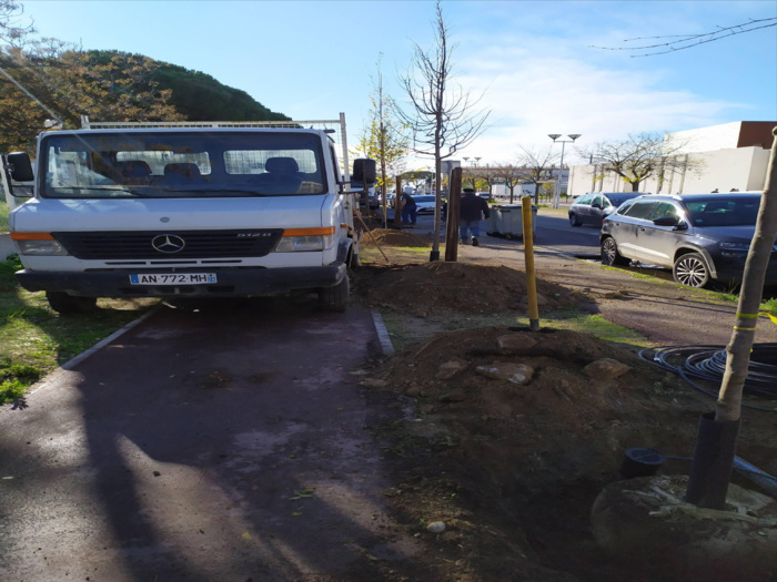 L'avenue Maréchal Juin se met au vert