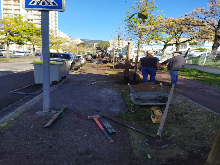 L'avenue Maréchal Juin se met au vert