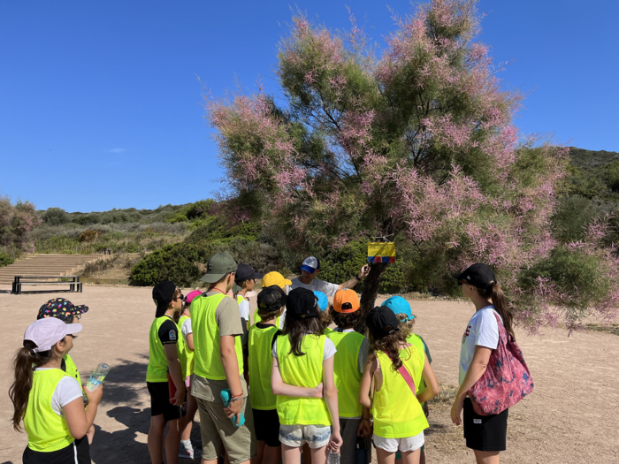 Huit classes de la Ville d’Ajaccio à la découverte du littoral corse !