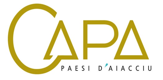 Appel à projets conseil intercommunal de sécurité et de prévention de la délinquance - CISPD 2023 Appel à projets conseil intercommunal de sécurité et de prévention de la délinquance - CISPD 2023