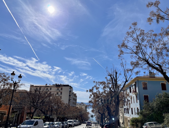 Végétalisation urbaine, une démarche écologique, économique et salutaire