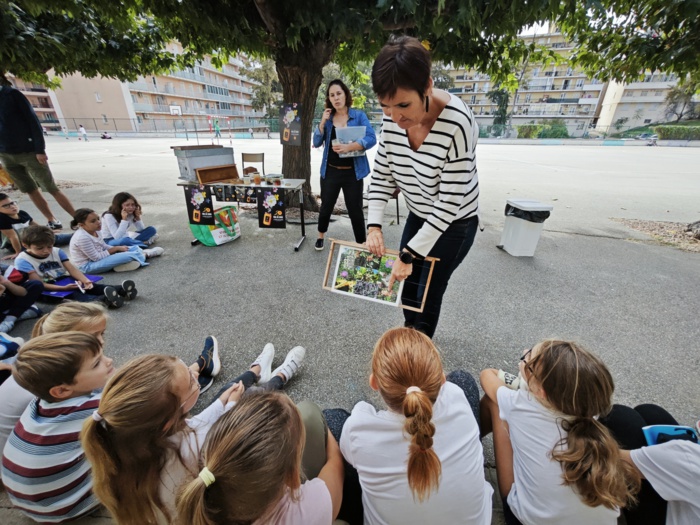 Semaine du Goût : Animation autour du miel dans les écoles de la ville