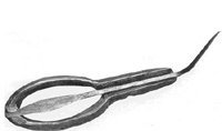 Les instruments traditionnels Les instruments traditionnels