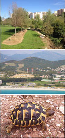 Plan Local d'Urbanisme