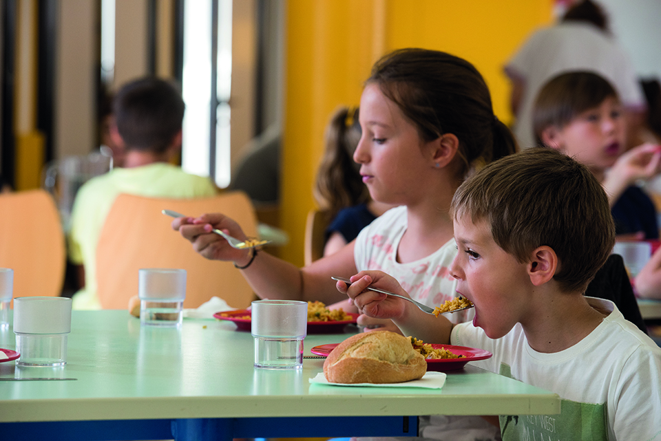 Restauration scolaire, quand les assiettes forment la jeunesse