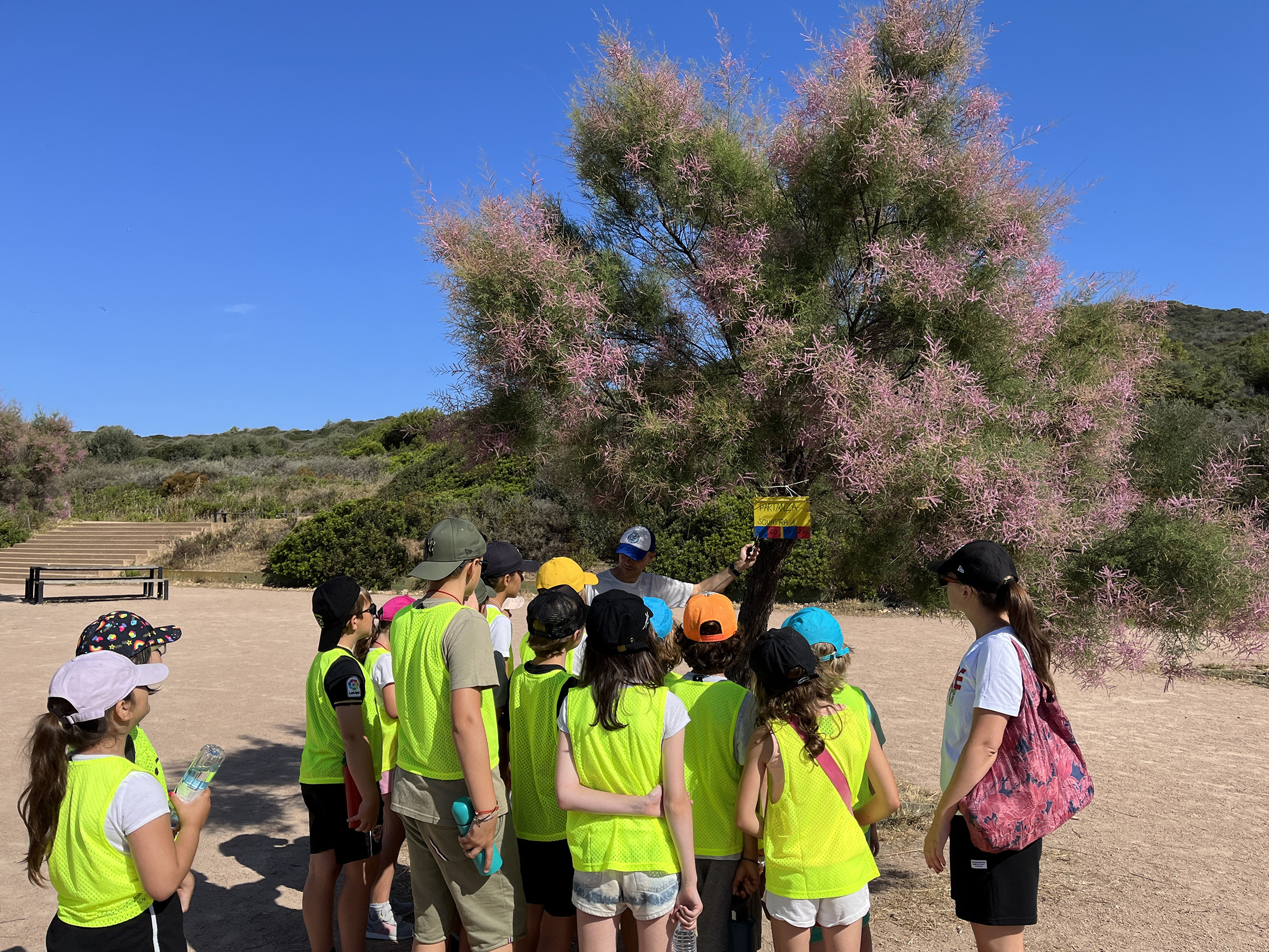 Huit classes de la Ville d’Ajaccio à la découverte du littoral corse !