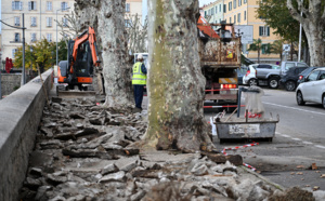 Travaux de réfection avenue Jean-Jérôme Levie