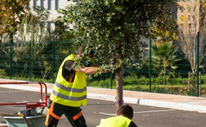 Végétalisation urbaine, une démarche écologique, économique et salutaire