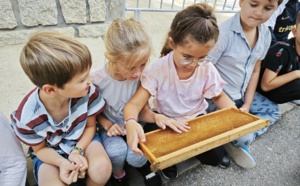 Semaine du Goût : Animation autour du miel dans les écoles de la ville